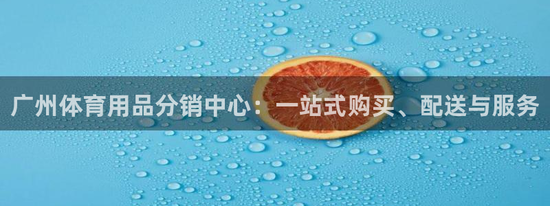 动感熊猫体育公园