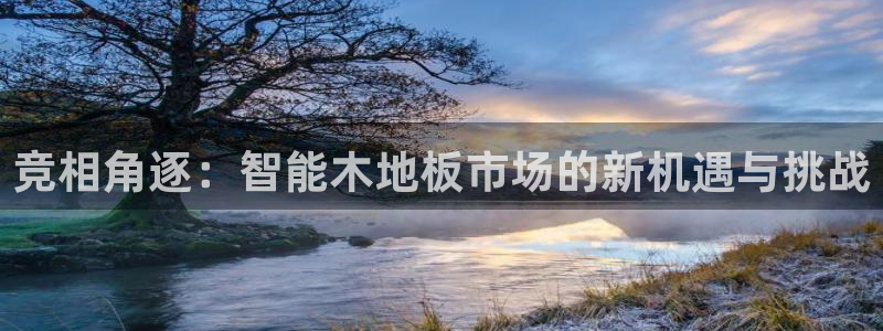 熊猫体育app官方入口