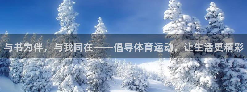 熊猫体育在线