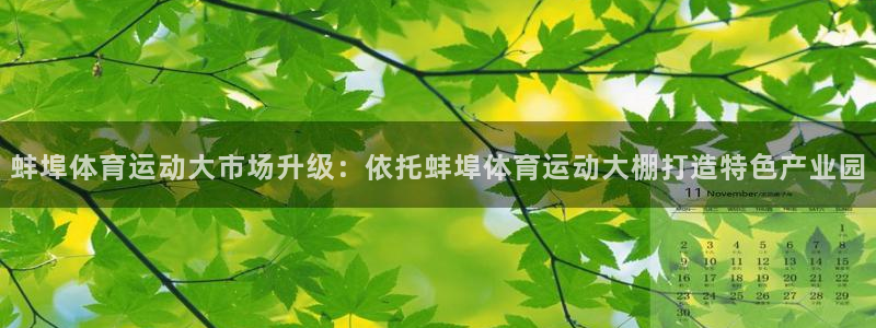 熊猫体育手机版下载