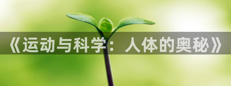 熊猫体育v3.新网页.org