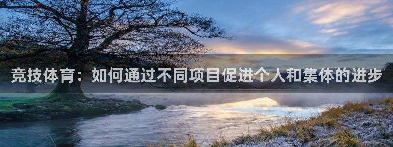 熊猫体育官网首页入口