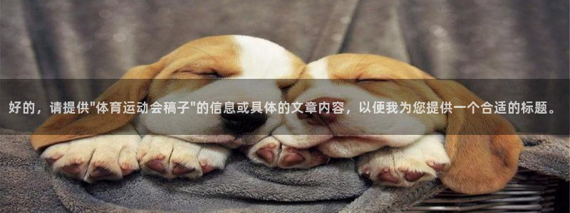 动感熊猫体育公园