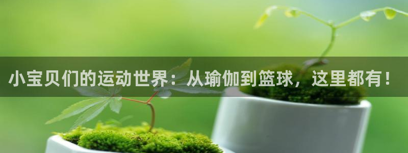 熊猫体育app官网入口