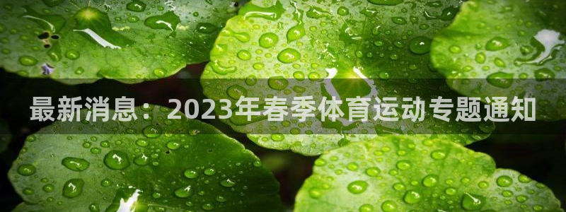 熊猫体育怎么样