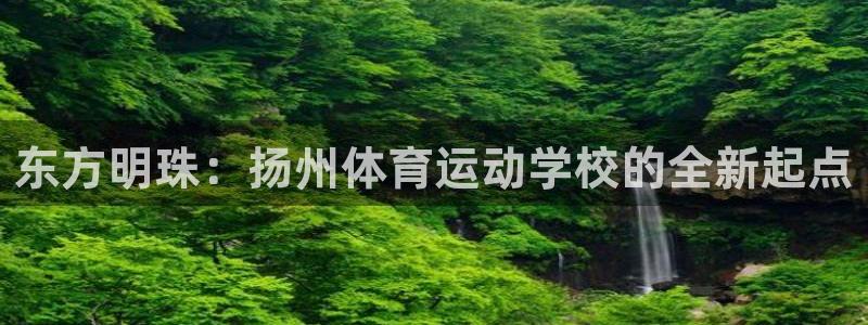 熊猫体育公园价格