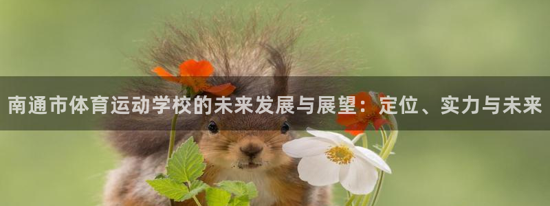 熊猫体育公园价格
