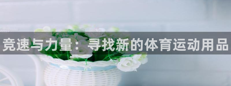 成都熊猫体育公园