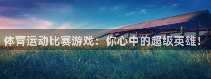 熊猫体育
