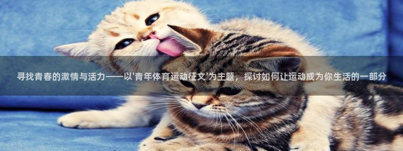 熊猫体育公园
