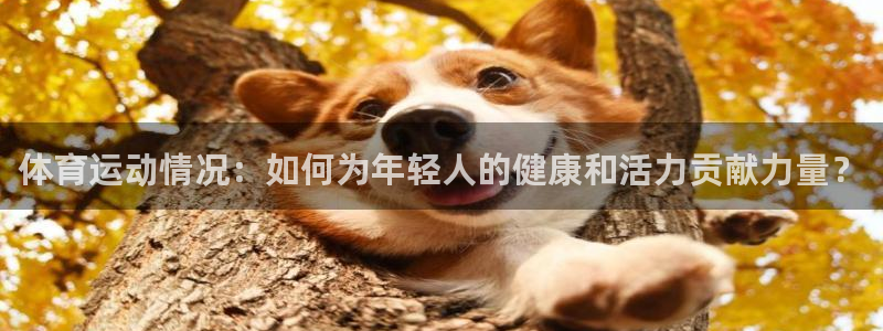 熊猫体育nba