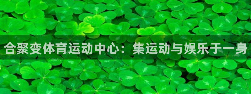 熊猫体育免费下载