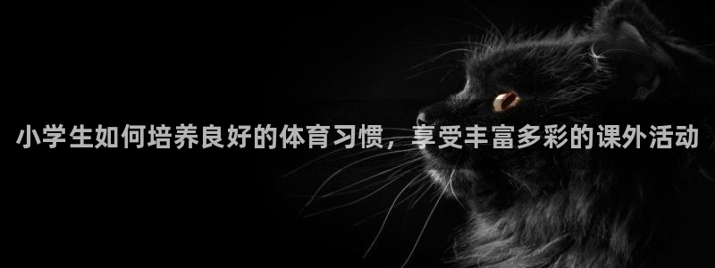 中山熊猫体育