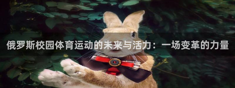 成都金熊猫体育