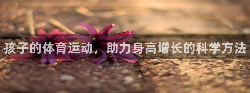 熊猫体育公园价格