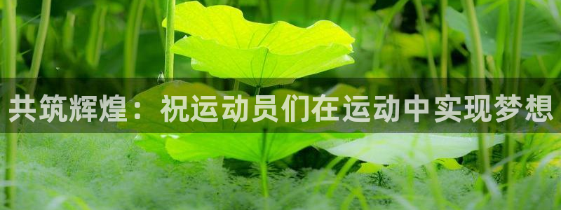 熊猫体育