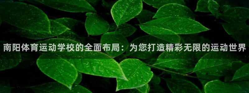 熊猫体育nba