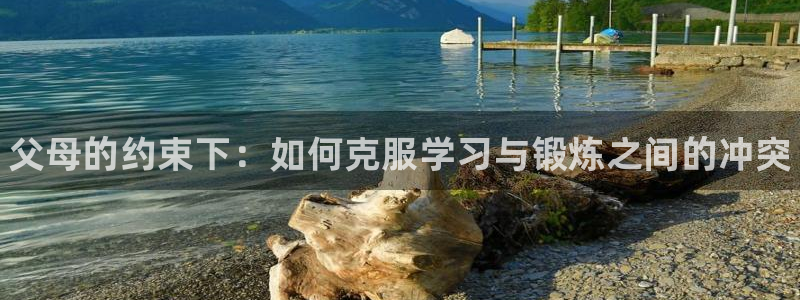 熊猫体育文化有限公司