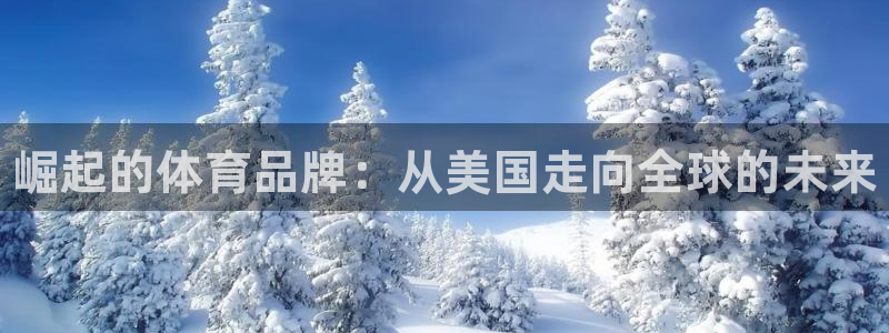熊猫体育网站