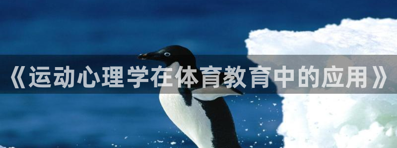 熊猫体育直播