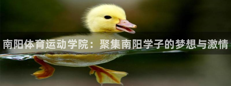 熊猫体育app官方入口