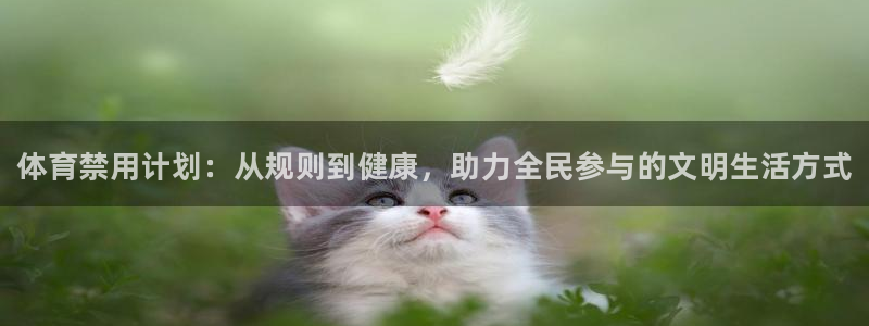 熊猫体育网址