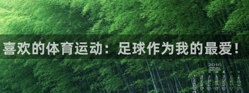 熊猫体育平台官网