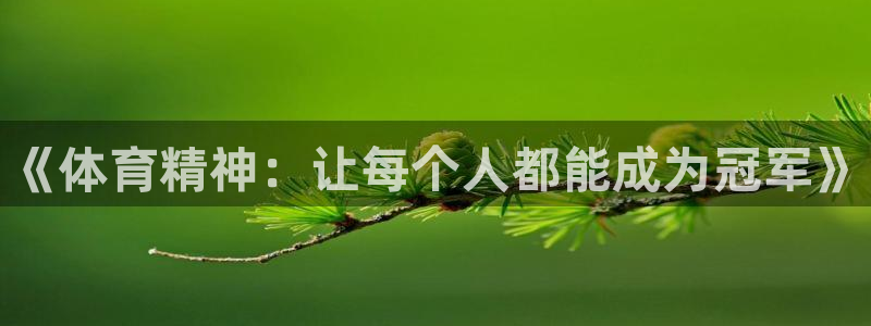 181熊猫体育