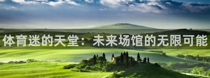 熊猫体育v3.新网页.org