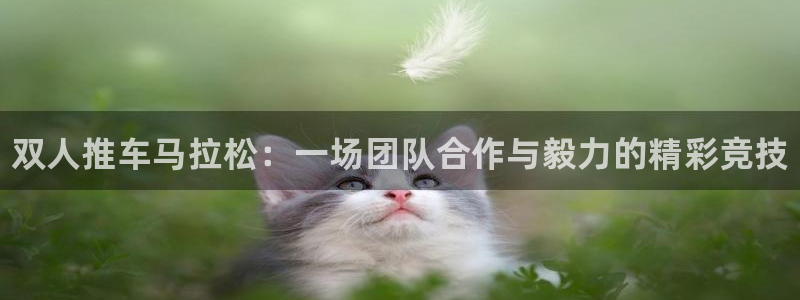 181熊猫体育
