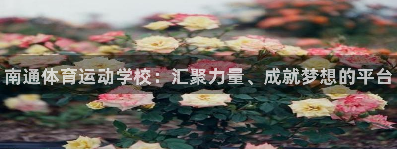 181熊猫体育