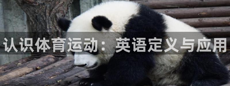 熊猫体育app下载安装
