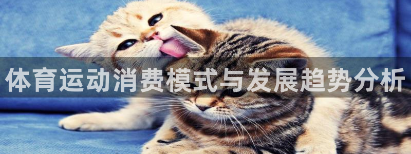 熊猫体育v3.新网页.org