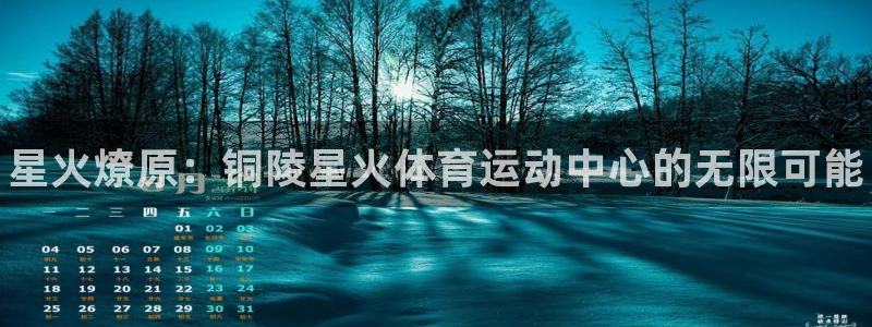 动感熊猫体育公园