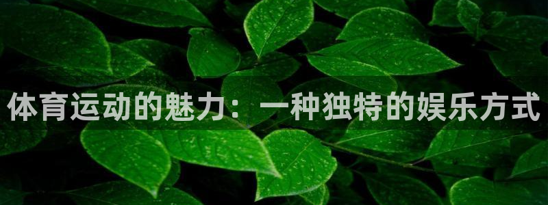熊猫体育网站