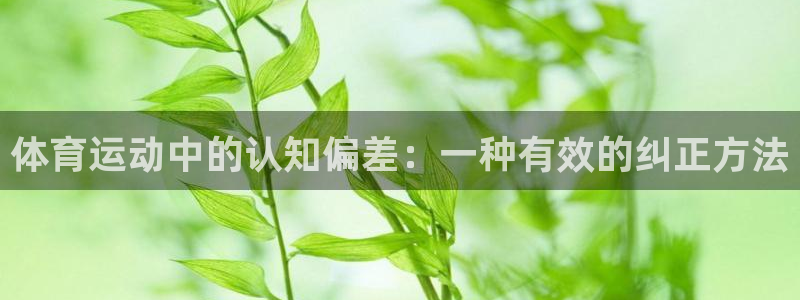 熊猫体育