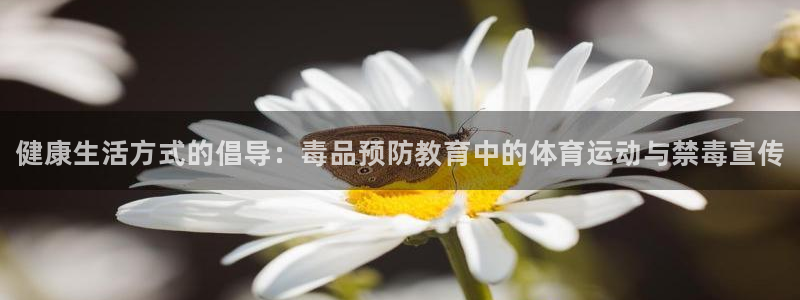 熊猫体育app官网入口