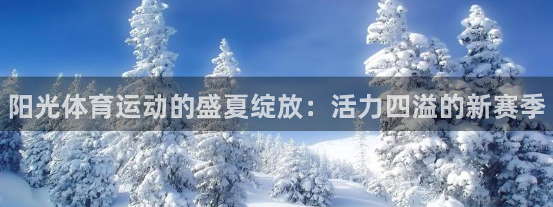 熊猫体育app官方入口