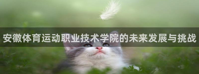 熊猫体育怎么样