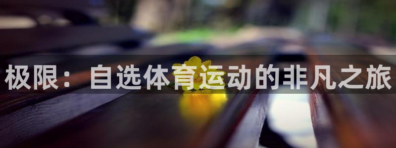 成都熊猫体育公园