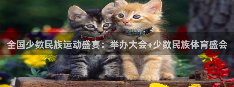 成都熊猫体育公园