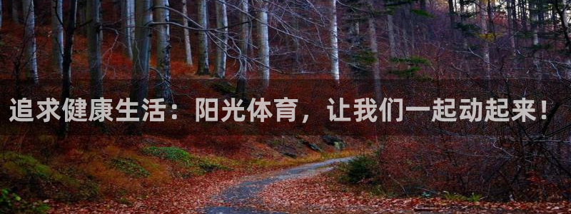 熊猫体育官方网站