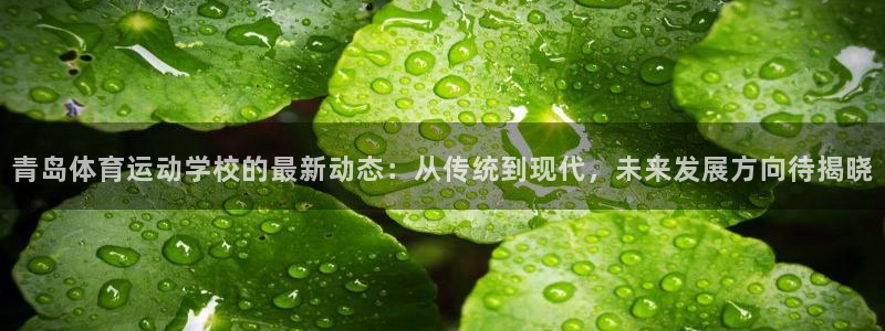 熊猫体育手机版