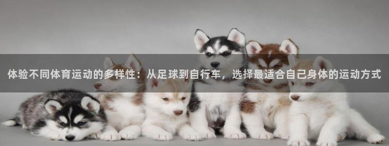 熊猫体育免费下载